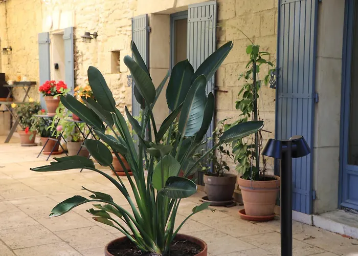 Le Mas Des Cerisiers Jacuzzi Et Sauna Inclus Pour Tous Les Logements Avignon
